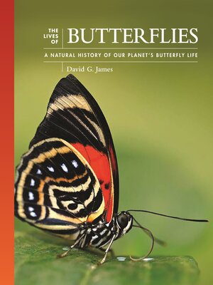 cover image of The Lives of Butterflies